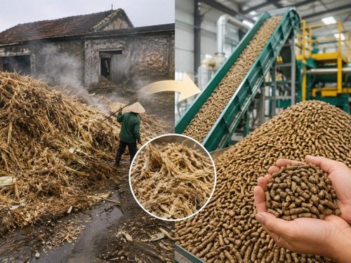 Làng này bỏ đi, làng kia kiếm tiền: Khi phụ phẩm thành “nguyên liệu vàng”