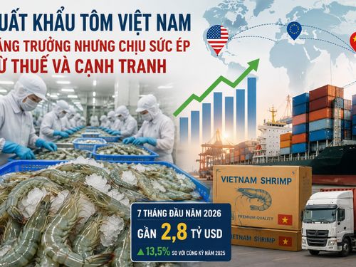 Xuất khẩu tôm Việt Nam tăng trưởng, nhưng sức ép thuế và cạnh tranh ngày càng lớn