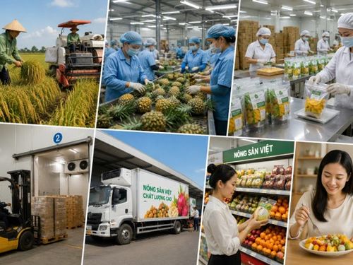 Từ ruộng đến tay người mua: Giá trị nông sản được tạo thêm ở những khâu nào?