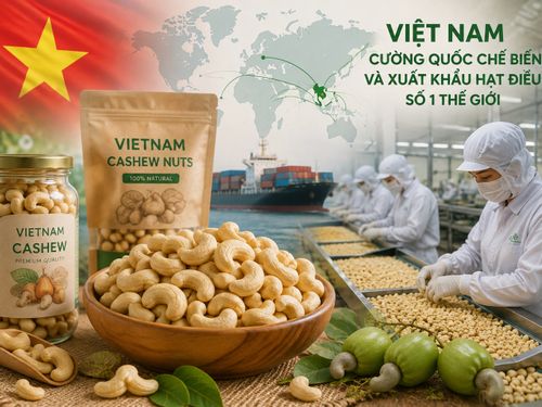 Vì sao Việt Nam trở thành “cường quốc” chế biến và xuất khẩu hạt điều?