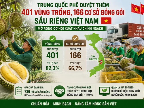 Trung Quốc phê duyệt thêm 401 vùng trồng, 166 cơ sở đóng gói sầu riêng Việt Nam