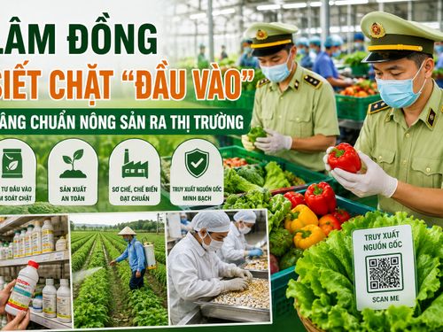 Lâm Đồng siết chặt kiểm soát chuỗi nông nghiệp, nâng chuẩn nông sản ra thị trường