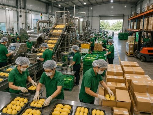 Đơn hàng tăng, nhà xưởng phải lớn lên: Bước chuyển phía sau những sản phẩm được săn đón