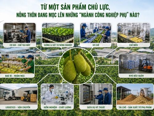 Từ một sản phẩm chủ lực, nông thôn đang mọc lên những “ngành công nghiệp phụ trợ” nào?