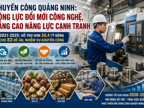 Khuyến công Quảng Ninh: Tạo lực đẩy để cơ sở công nghiệp nông thôn đổi mới công nghệ