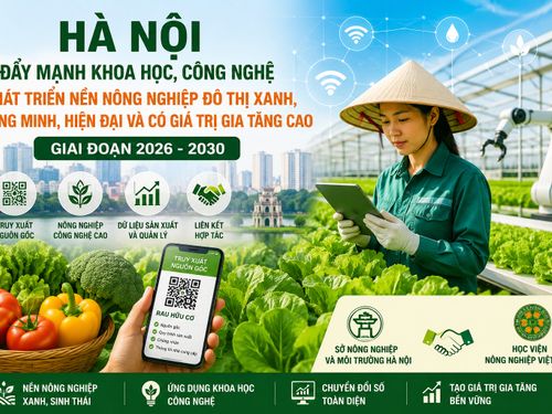 Hà Nội đẩy mạnh khoa học, công nghệ, hướng tới nền nông nghiệp đô thị thông minh