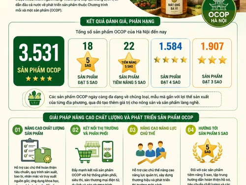 Hà Nội dẫn đầu cả nước với hơn 3.500 sản phẩm OCOP được đánh giá, phân hạng