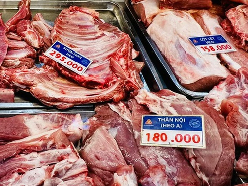 Giá heo hơi hôm nay 29/8: Miền Bắc giảm phiên thứ hai, mốc 60.000 đồng/kg thu hẹp