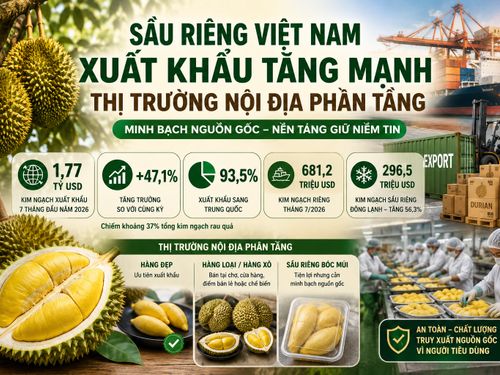 Sầu riêng xuất khẩu tăng mạnh, thị trường nội địa cần minh bạch nguồn gốc