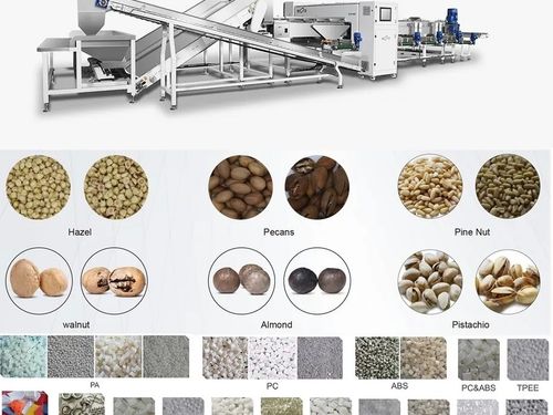 Máy phân loại bằng camera và AI: Cuộc nâng cấp âm thầm trong nhà máy nông sản Việt