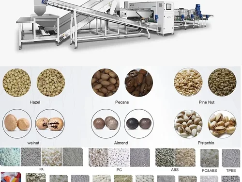 Máy phân loại bằng camera và AI: Cuộc nâng cấp âm thầm trong nhà máy nông sản Việt