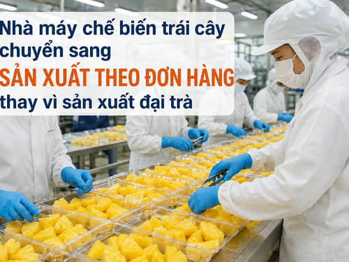Nhà máy chế biến trái cây đang chuyển sang “sản xuất theo đơn hàng” thay vì sản xuất đại trà