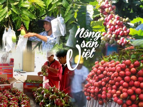 WTO phát đi hơn 50 cảnh báo SPS mới, hàng xuất khẩu Việt chịu sức ép