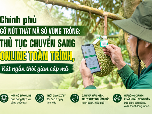 Chính phủ gỡ nút thắt mã số vùng trồng: Thủ tục chuyển sang online toàn trình, rút ngắn thời gian cấp mã