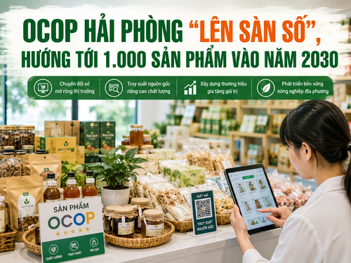 OCOP Hải Phòng “lên sàn số”, hướng tới 1.000 sản phẩm vào năm 2030