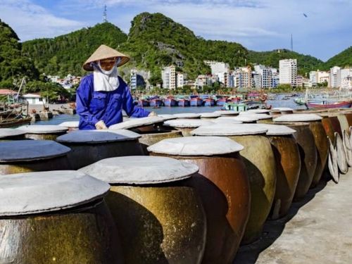 “Điểm nghẽn không nằm ở máy móc”: Vì sao nhiều cơ sở chế biến nông thôn vẫn khó tăng giá trị?