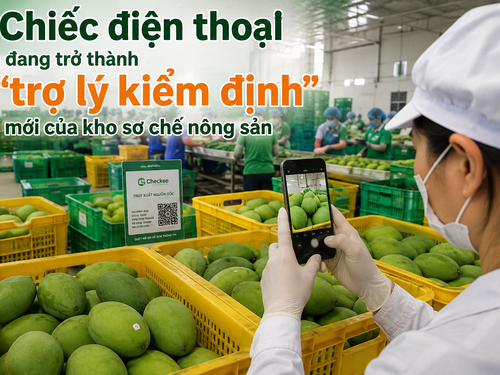 Chiếc điện thoại đang trở thành “trợ lý kiểm định” mới của kho sơ chế nông sản