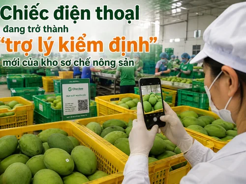 Chiếc điện thoại đang trở thành “trợ lý kiểm định” mới của kho sơ chế nông sản