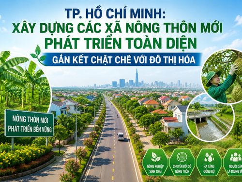 TP. Hồ Chí Minh xây dựng nông thôn mới giai đoạn 2026-2030: Hướng tới phát triển toàn diện, gắn kết chặt chẽ với đô thị hóa