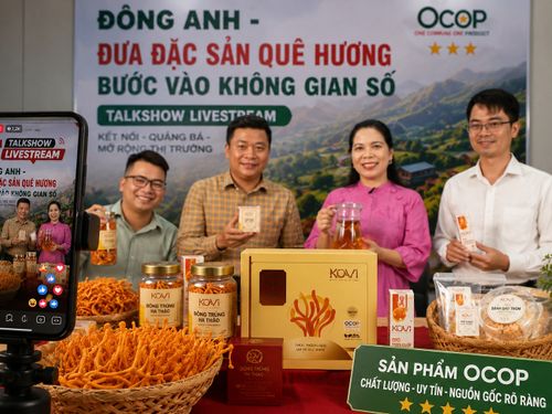 Địa phương đồng hành chuyển đổi số, mở rộng cơ hội tiêu thụ cho hợp tác xã nông nghiệp