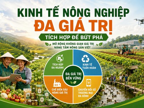 Kinh tế nông nghiệp đa giá trị: Hướng đi mới giúp nông nghiệp Việt Nam bứt phá bền vững