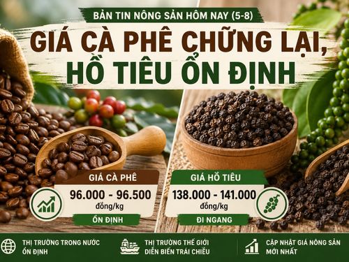 Giá nông sản hôm nay (5/8): Giá cà phê chững lại, hồ tiêu tiếp tục đi ngang