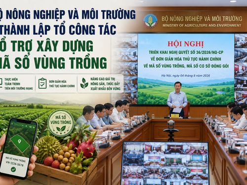 Bộ Nông nghiệp và Môi trường thành lập tổ công tác hỗ trợ địa phương xây dựng mã số vùng trồng