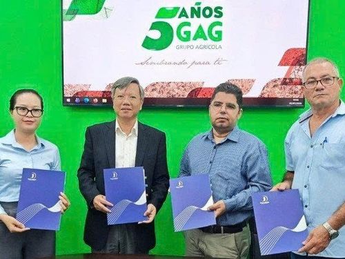 Doanh nghiệp Việt gặt “trái ngọt” từ dự án lúa gạo tại Cuba