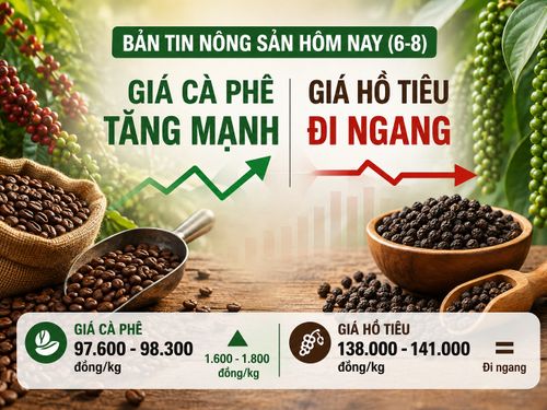 Giá nông sản hôm nay (6-8): Giá cà phê bật tăng mạnh, hồ tiêu tiếp tục đi ngang
