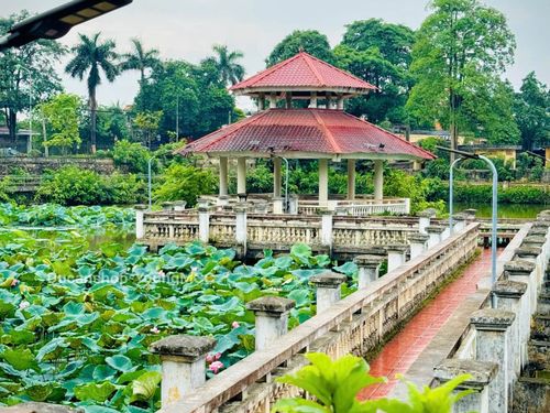 5 ngành học tại Trường Đại học Lâm nghiệp được hưởng học bổng