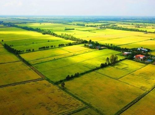 Khai thác hiệu quả quỹ đất nông nghiệp: Biến tiềm năng thành động lực phát triển bền vững
