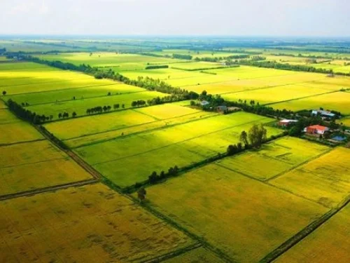 Khai thác hiệu quả quỹ đất nông nghiệp: Biến tiềm năng thành động lực phát triển bền vững