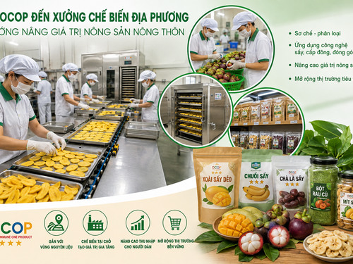 Từ OCOP đến xưởng chế biến địa phương: Hướng nâng giá trị nông sản nông thôn