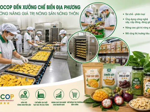 Từ OCOP đến xưởng chế biến địa phương: Hướng nâng giá trị nông sản nông thôn