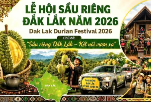 Lễ hội Sầu riêng Đắk Lắk 2026: Cú hích nâng tầm thương hiệu, siết chặt mã số vùng trồng để chinh phục thị trường xuất khẩu