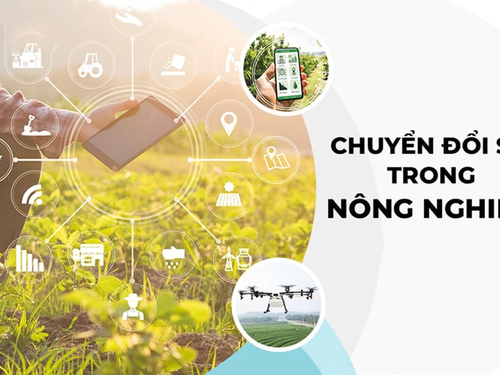 Chuyển đổi số tạo đột phá cho nông nghiệp Hà Nội: Minh bạch nguồn gốc, nâng cao giá trị nông sản