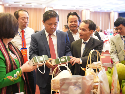 Xây dựng mô hình HTX kiểu mới: Động lực kiến tạo nền kinh tế nông thôn hiện đại và bền vững