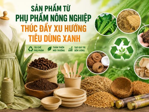 “Đánh thức” phụ phẩm nông nghiệp, mở đường cho xu hướng tiêu dùng xanh