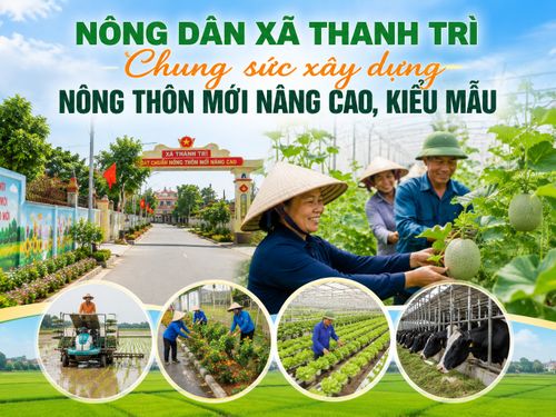 Nông dân Thanh Trì chung sức xây dựng nông thôn mới nâng cao, kiểu mẫu