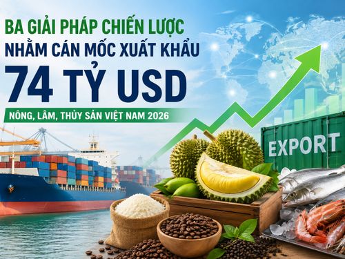 Ba giải pháp chiến lược giúp xuất khẩu nông, lâm, thủy sản hướng tới mục tiêu 74 tỷ USD năm 2026