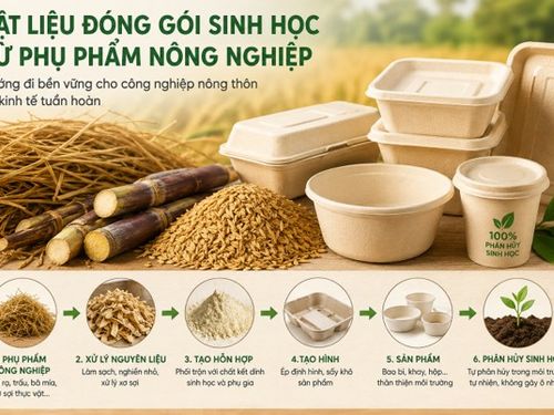 Vật liệu đóng gói sinh học từ phụ phẩm nông nghiệp: Khi công nghiệp nông thôn bước vào kinh tế tuần hoàn