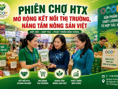 Phiên chợ HTX mở rộng kết nối thị trường, nâng tầm nông sản Việt