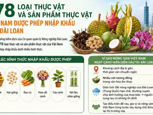 [Infographic] 178 loại thực vật và sản phẩm thực vật Việt Nam được phép nhập khẩu vào Đài Loan