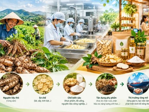Một nguyên liệu, nhiều tầng giá trị: Vì sao chế biến đang mở ‘mỏ vàng’ cho nông thôn?