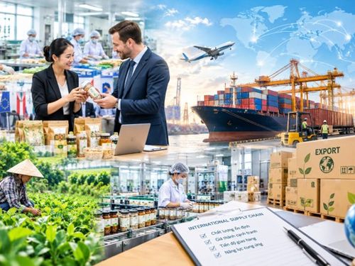 Doanh nghiệp nông thôn ra thị trường quốc tế: Từ đơn hàng đầu tiên đến chuỗi cung ứng