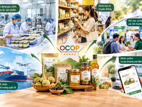 Đạt sao OCOP, nhiều “đường” đưa sản phẩm công nghiệp nông thôn ra thị trường