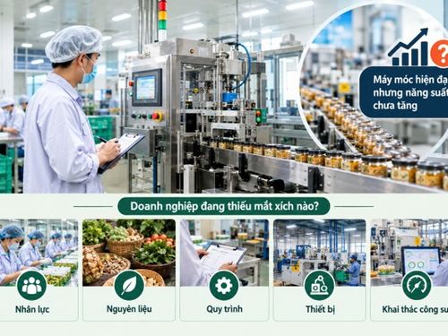 Máy móc hiện đại nhưng năng suất chưa tăng: Doanh nghiệp đang thiếu mắt xích nào?