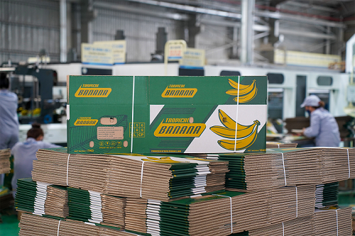 Italia siết quy định bao bì, doanh nghiệp Việt xuất khẩu nông sản cần chủ động thích ứng