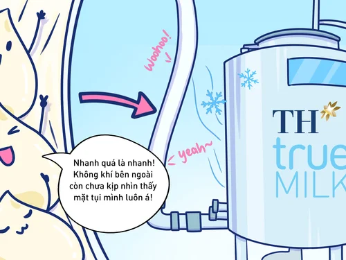 Hành trình khép kín hoàn hảo của giọt sữa tươi sạch TH true MILK