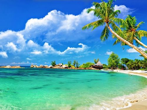 Việt Nam vào top 3 điểm đến châu Á có tỷ lệ du khách quay lại cao nhất